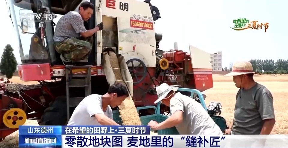 “三夏”生產(chǎn)思維導(dǎo)圖安排上了！還有政府大院等你來(lái)“曬”