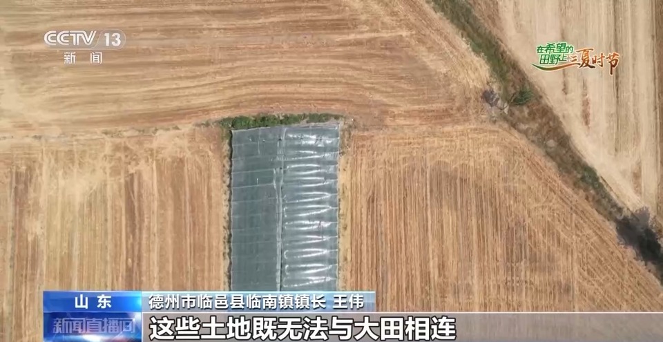 “三夏”生產(chǎn)思維導(dǎo)圖安排上了！還有政府大院等你來(lái)“曬”