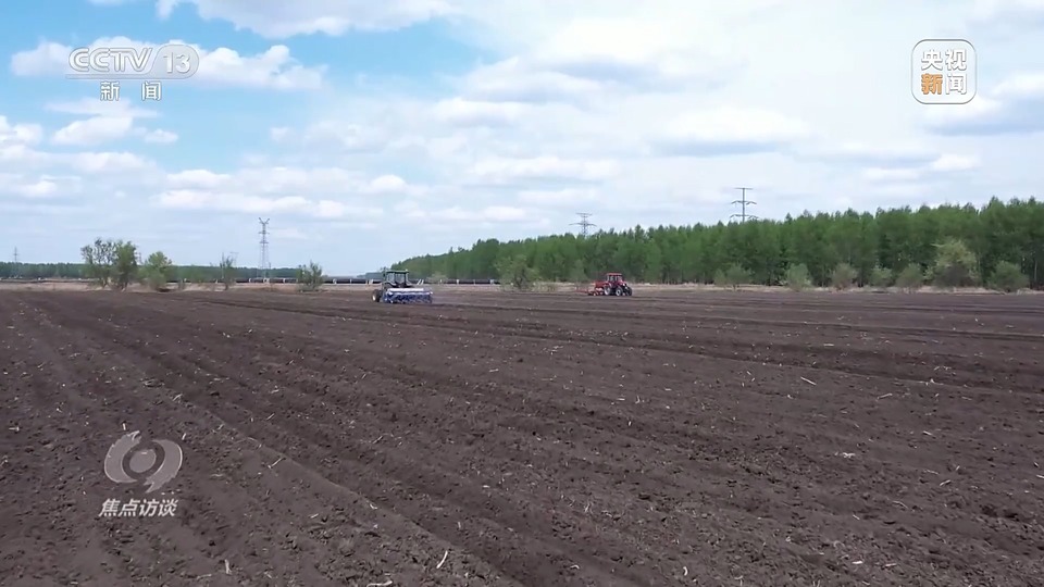 焦點(diǎn)訪談丨一粒良種 萬擔(dān)好糧 探索農(nóng)作物高產(chǎn)高質(zhì)“新密碼”