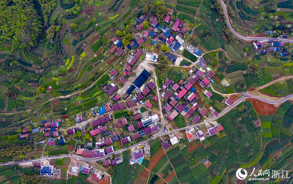 4月1日，紹興市新昌縣東茗鄉(xiāng)下巖貝村風(fēng)光秀麗，茶園旖旎。人民網(wǎng) 章勇濤攝