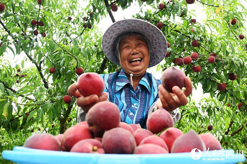 豐收的喜悅。蘭自濤攝