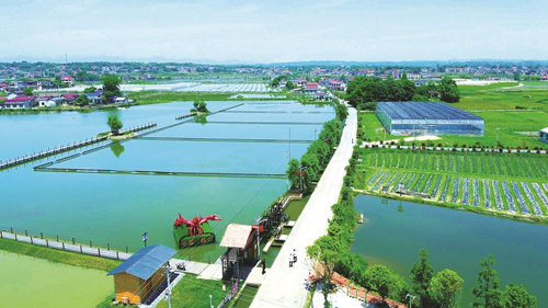 近年來(lái)，大成橋鎮(zhèn)堅(jiān)持加強(qiáng)黨對(duì)鄉(xiāng)村治理的集中統(tǒng)一領(lǐng)導(dǎo)，該鎮(zhèn)鄉(xiāng)村治理模式入選第二批全國(guó)鄉(xiāng)村治理典型案例。圖為美麗的大成橋鎮(zhèn)。（資料圖片）