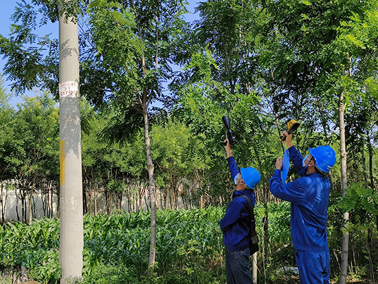 工作人員進(jìn)行紅外測(cè)溫及超聲波局部放電檢測(cè)。 王亮攝
