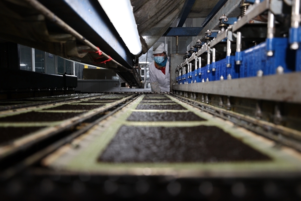 柘汪紫菜產(chǎn)業(yè)園內(nèi)入駐企業(yè)的紫菜生產(chǎn)線。贛榆區(qū)委宣傳部供圖