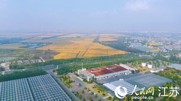 位于幸福街道的“萬頃良田”。人民網(wǎng)記者 王繼亮攝