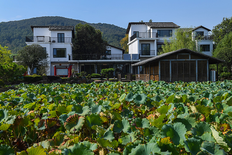 雨悅山房負責人原來在馬達加斯加打理酒店，之所以“從馬達加斯加到肥東”，源于對家鄉(xiāng)民宿前景看好。吳芳攝