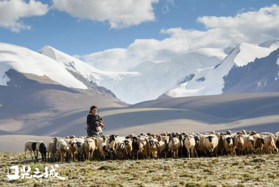 治愈你的不止曠野，更是真實的生活