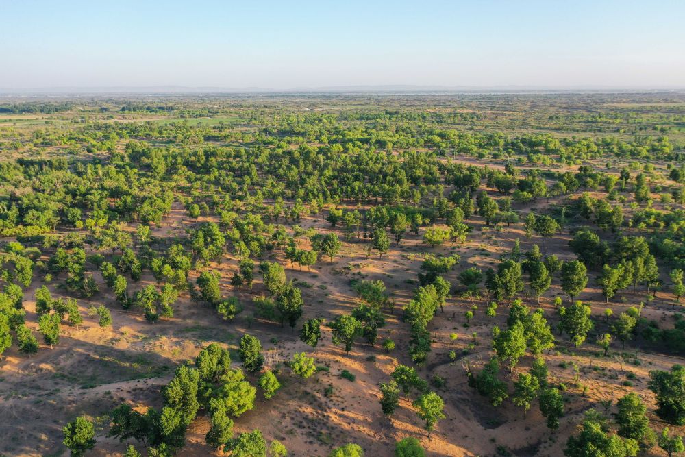 鏡觀·回響丨西部生態(tài)建設(shè):以高水平保護(hù)支撐高質(zhì)量發(fā)展