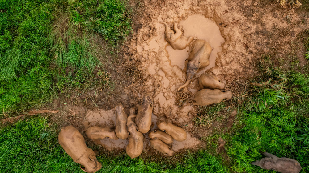 鏡觀·回響丨西部生態(tài)建設(shè):以高水平保護(hù)支撐高質(zhì)量發(fā)展