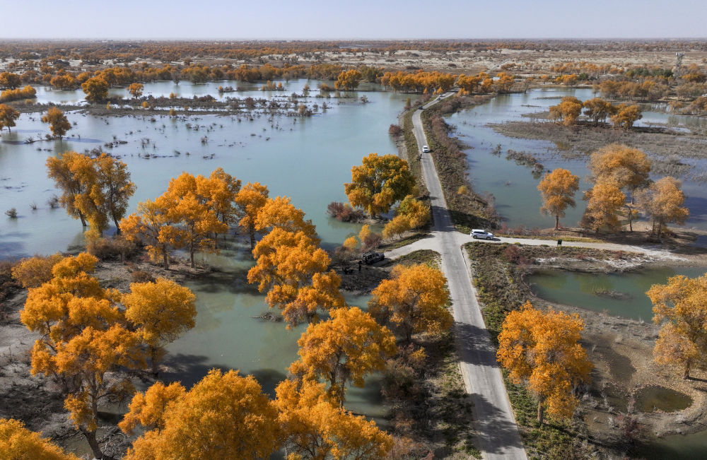 鏡觀·回響丨西部生態(tài)建設(shè):以高水平保護(hù)支撐高質(zhì)量發(fā)展