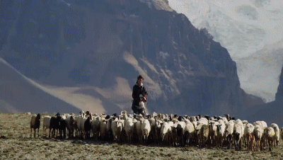 你看了嗎？藏語版《日光之城》“含金量”還在上升！