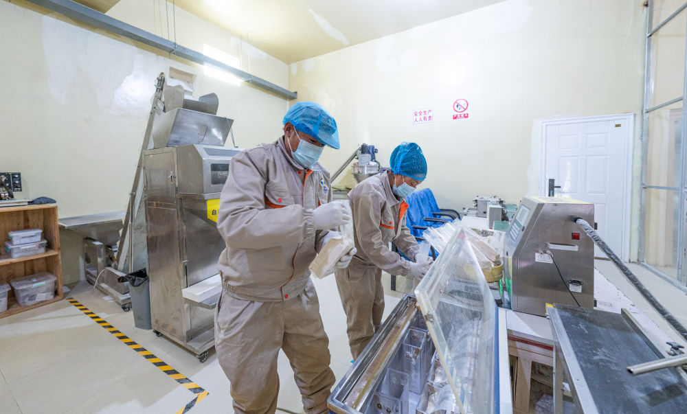 牢牢守住不發(fā)生規(guī)模性返貧致貧底線——西部脫貧地區(qū)“5年過渡期”一線觀察