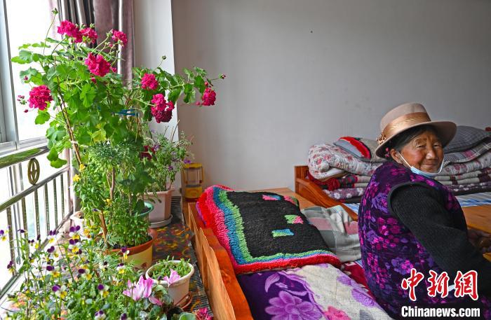 圖為曲松縣特困人員集中供養(yǎng)中心老人德吉卓嘎與她的花?！≮w朗 攝