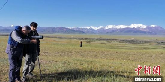 圖為工作人員正在進(jìn)行黑頸鶴衛(wèi)星跟蹤和環(huán)志工作?！∑钸B山國(guó)家公園青海省管理局供圖 攝