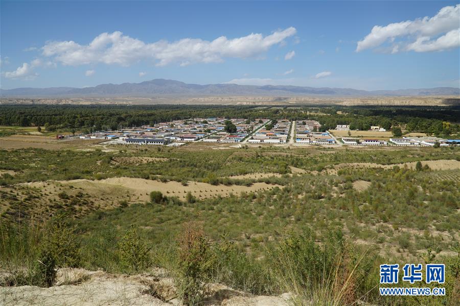 （決戰(zhàn)決勝脫貧攻堅(jiān)·圖文互動(dòng)）（2）高原鄉(xiāng)鎮(zhèn)沙珠玉 治沙斗貧成“綠?！薄嗪Ｊ」埠涂h沙珠玉鄉(xiāng)采訪見聞