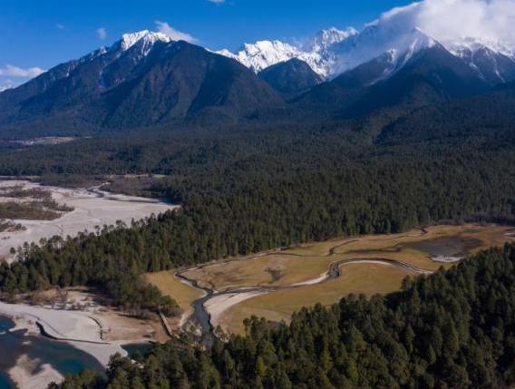 資料圖：西藏崗云杉林與遠(yuǎn)處的雪峰。 何蓬磊 攝