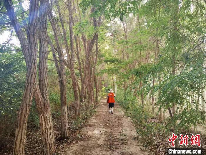 戈壁灘上的護林員：以前風吹睜不開眼，現(xiàn)在滿眼皆綠色