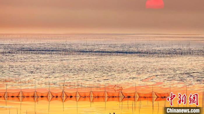 江蘇鹽城被譽(yù)為金灘銀蕩、魚米之鄉(xiāng)?！←}城市委宣傳部供圖