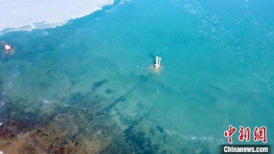 圖為冬日青海湖。　李江寧　攝