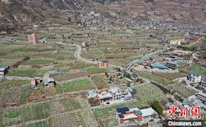 潔白的李花與村寨交相輝映，勾勒出一幅美麗的和諧生態(tài)畫卷?！『吻搴?攝