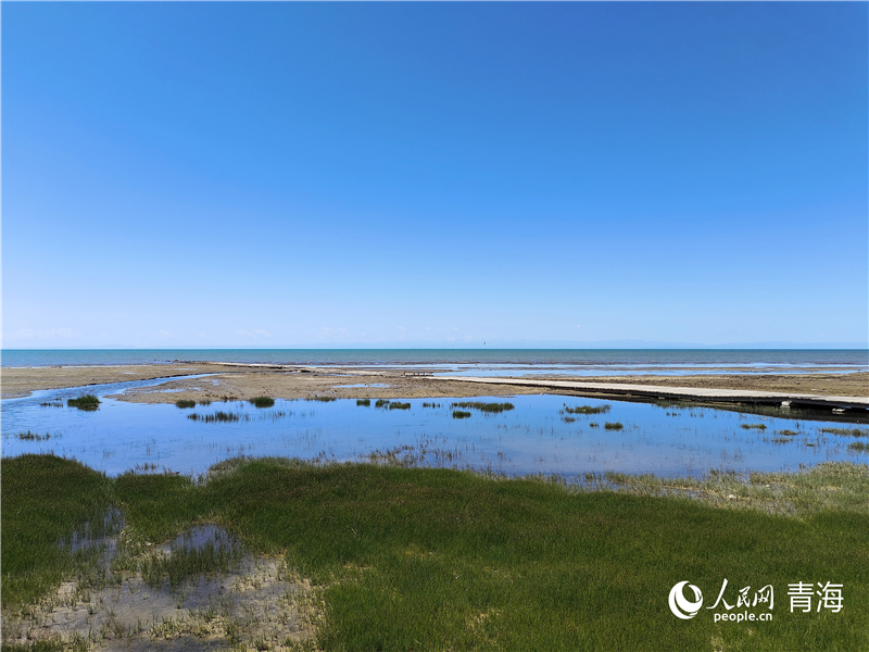 青海湖仙女灣。人民網(wǎng) 張莉萍攝