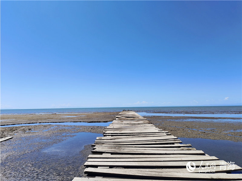   青海湖仙女灣。人民網(wǎng) 張莉萍攝