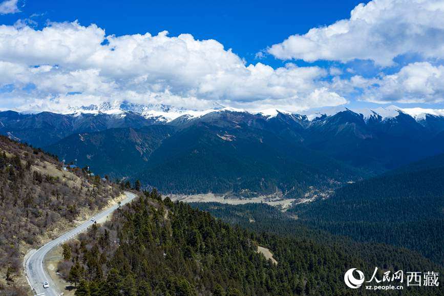 圖為在海拔4700多米的色季拉山，觀測從森林到草甸的多種植被類型。