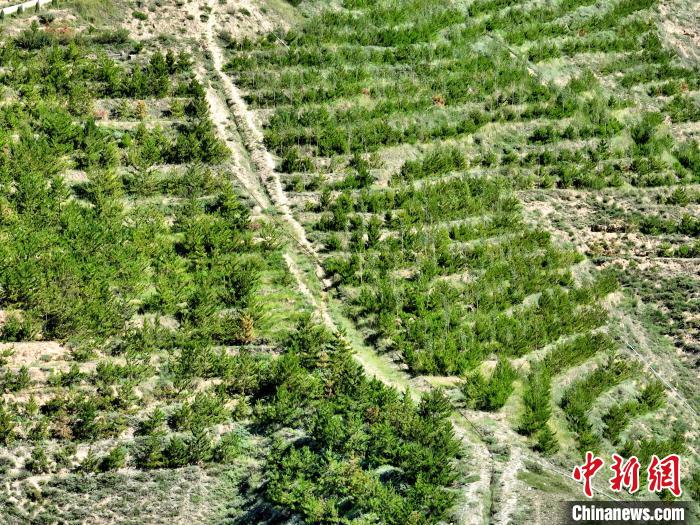 航拍建行青海省分行綠化區(qū)?！∑钤鲚?攝