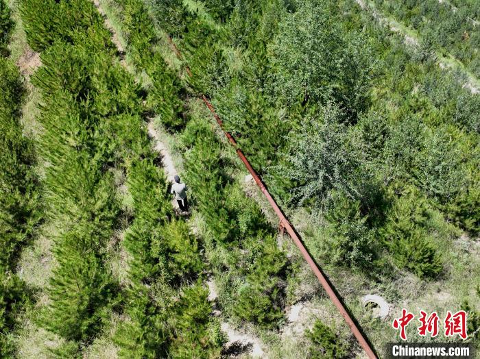 航拍建行青海省分行綠化區(qū)施工隊(duì)隊(duì)長盧占祥正在巡護(hù)綠化區(qū)?！∑钤鲚?攝