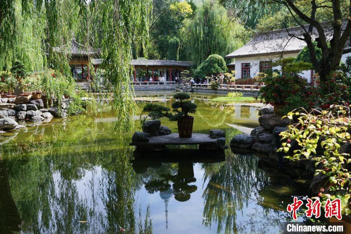 圖為西寧園林植物園秋日風(fēng)景別有韻味?！●R銘言 攝