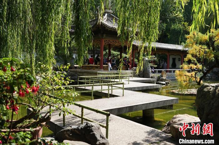 圖為西寧園林植物園秋日風(fēng)景別有韻味?！●R銘言 攝