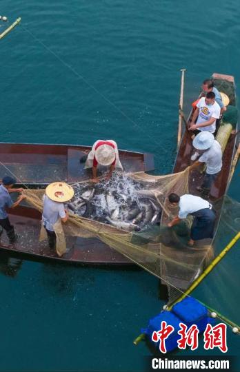 捕魚現(xiàn)場(chǎng)。　主辦方供圖