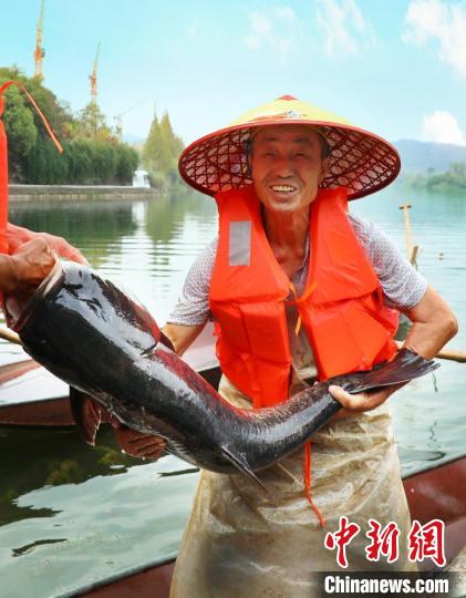 工作人員展示捕撈成果?！≈鬓k方供圖