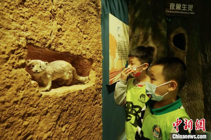 圖為小朋友在青海西寧湟水國(guó)家濕地公園科普館內(nèi)參觀學(xué)習(xí)?！●R銘言 攝