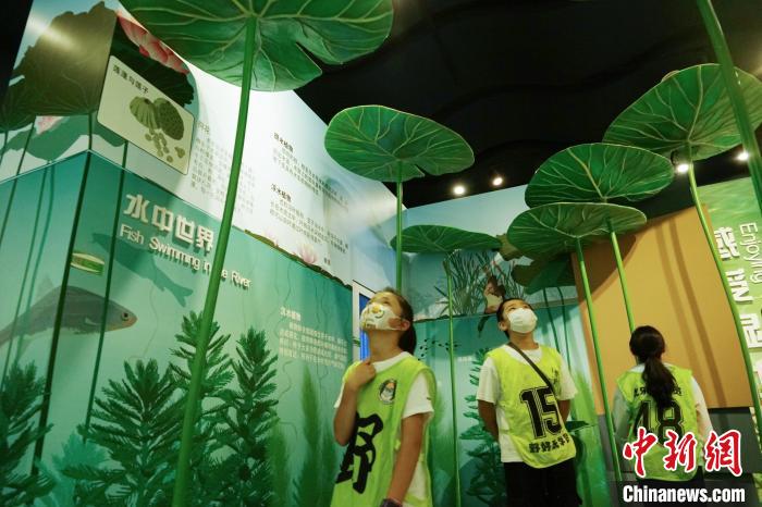 圖為小朋友在青海西寧湟水國(guó)家濕地公園科普館內(nèi)參觀學(xué)習(xí)?！●R銘言 攝