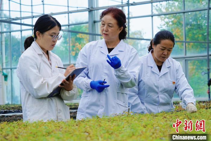 圖為張錦梅(中)與同事在討論數(shù)據(jù)。馬銘言 攝