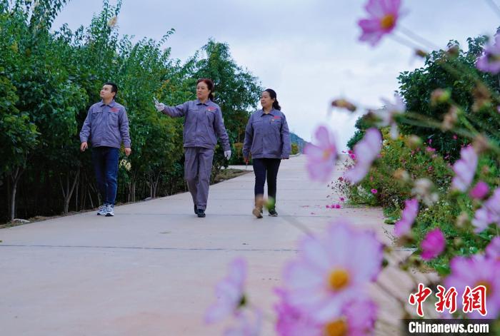 圖為張錦梅(中)與同事在西寧北山查看丁香樹?！●R銘言 攝