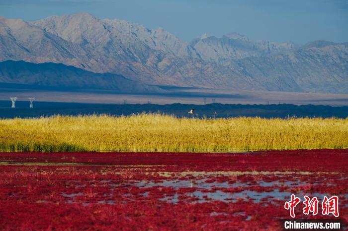 圖為柴達(dá)木盆地可魯克湖?！」?攝