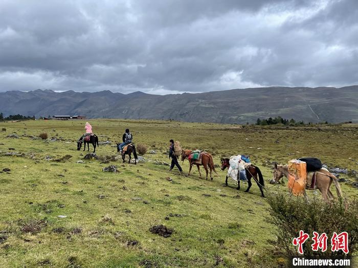 圖為9月26日游客騎馬領(lǐng)略尼汝村高原牧場風光。 <a target='_blank' href='/'><p  align=