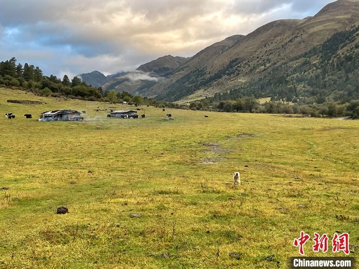 圖為9月27日新沾牧場的早晨景色。 <a target='_blank' href='/'><p  align=