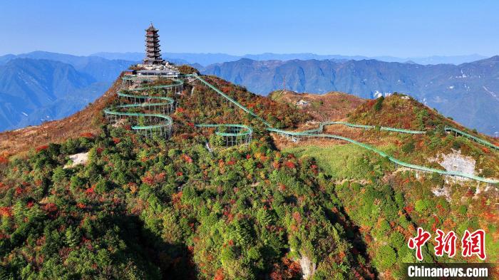 巴山大峽谷彩林迎來(lái)最佳觀賞期?！∫κ?攝