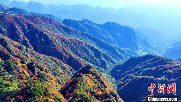 巴山大峽谷彩林迎來(lái)最佳觀賞期?！埰?攝