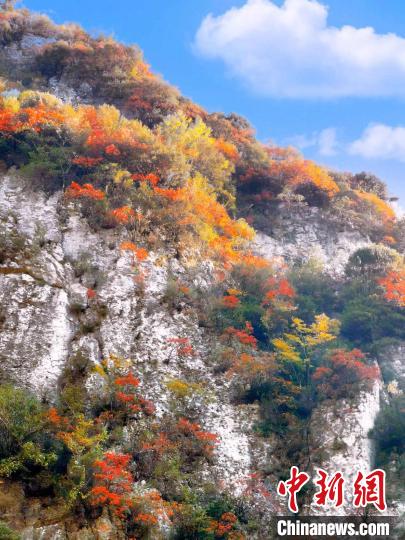 彩林色彩斑斕?！≈炱桨?攝