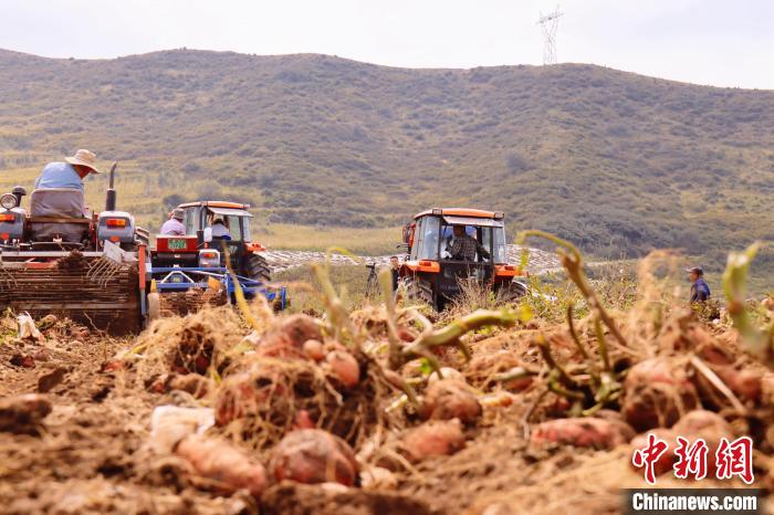 青海東部農(nóng)業(yè)區(qū)：“一分川、一分水、八分山”里“刨金記”