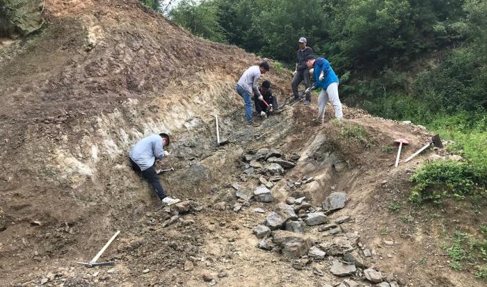 2018年玉海翼角魚野外發(fā)掘采集現(xiàn)場?！∩w志琨 攝