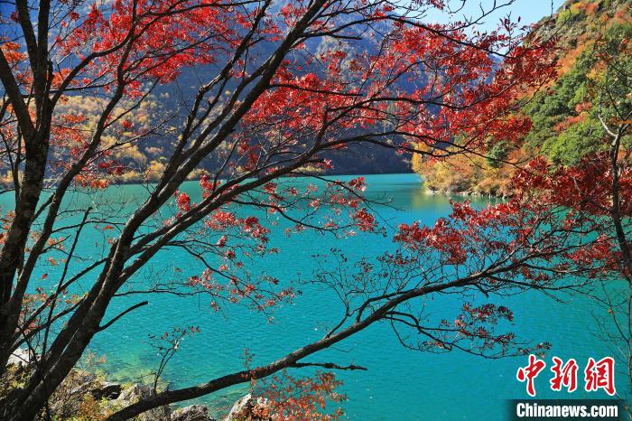 松坪溝風(fēng)光?！『吻搴?攝