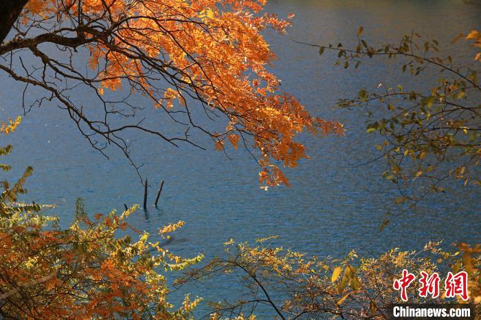 松坪溝風(fēng)光?！⑼?攝