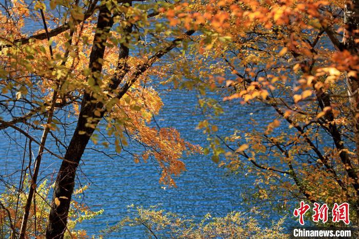 松坪溝風(fēng)光?！⑼?攝