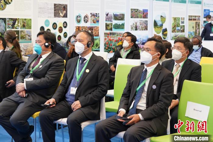 圖為極小種群物種和生物多樣性保護(hù)邊會(huì)現(xiàn)場?！≡颇鲜×謽I(yè)和草原局供圖