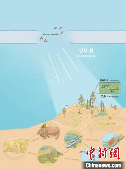 臭氧層破壞引起的紫外線輻射增加對(duì)陸地食物鏈的影響?！∧瞎潘?供圖